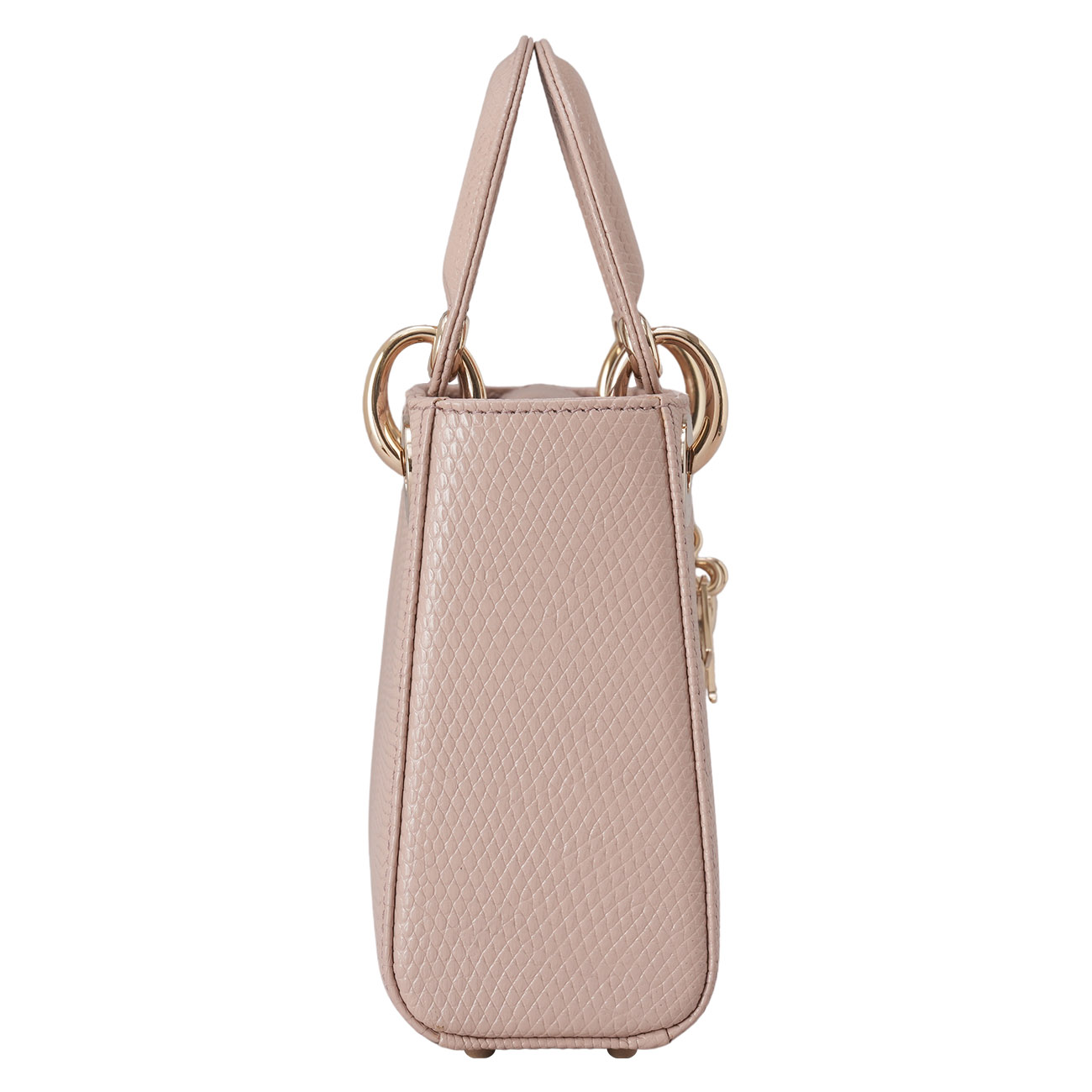 CHRISTIAN DIOR(USED)디올 리자드 레이디 디올 미니